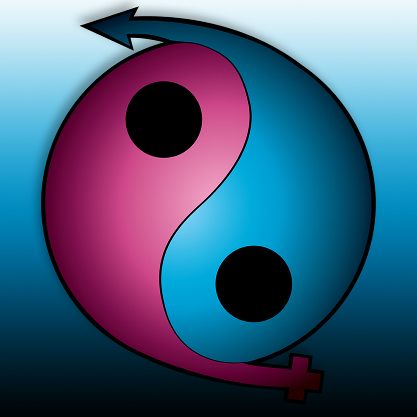 Yin Yan Logo